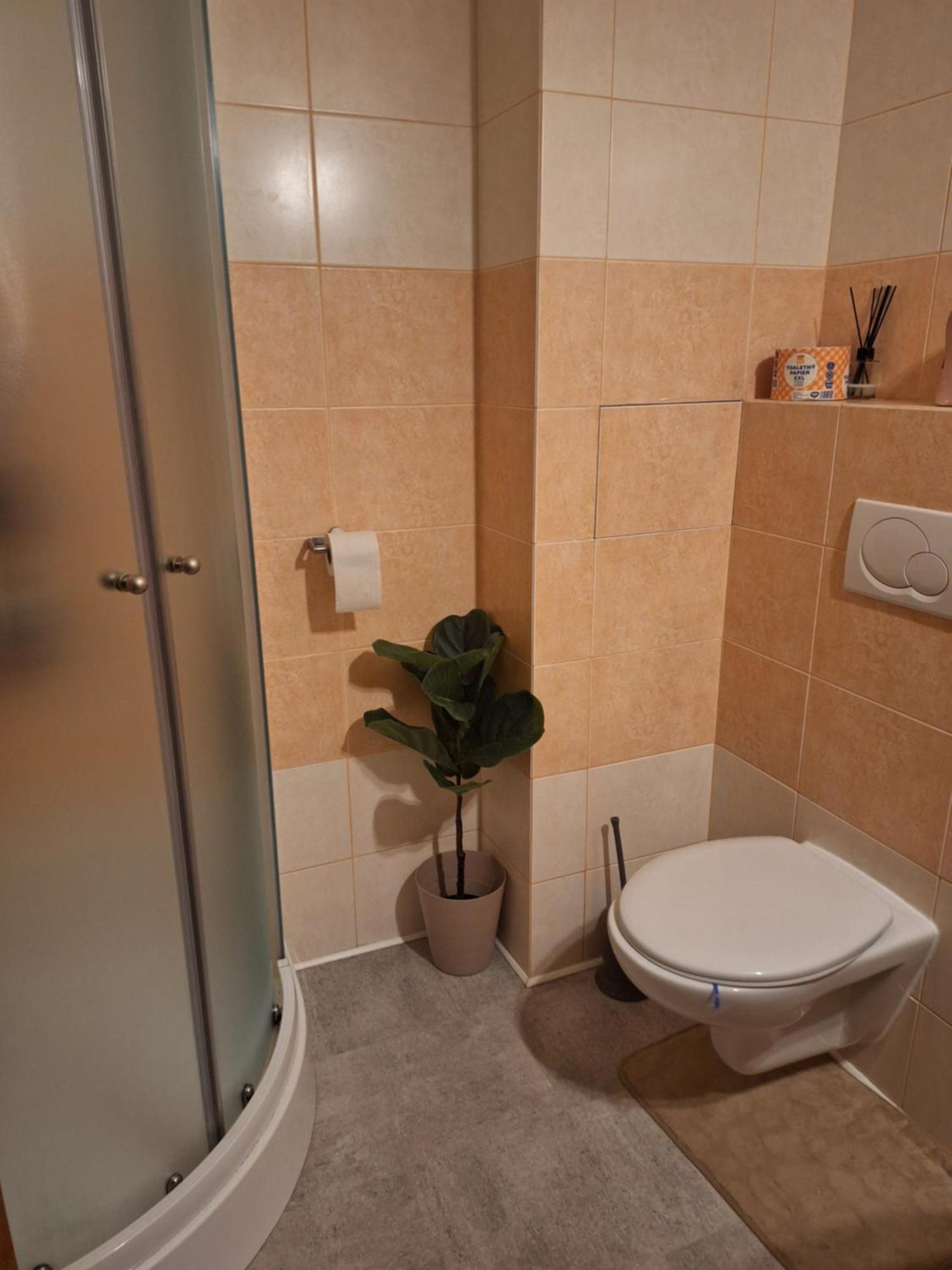 Apartman S Terasou オシュチュニツァ エクステリア 写真